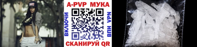 А ПВП СК  Вельск 