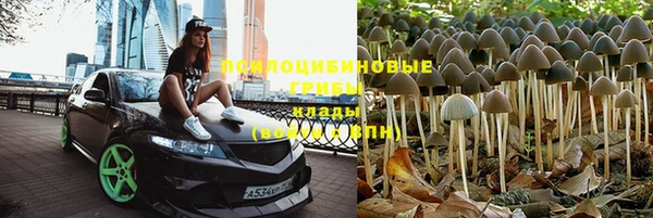 мескалин Балахна