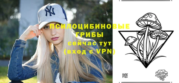 стафф Осташков